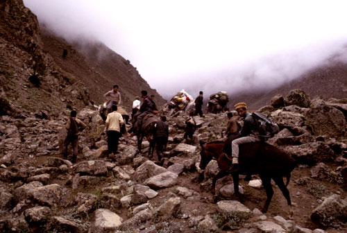 قبل از بریر