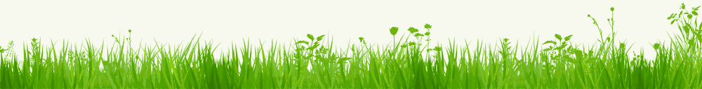 http://s2.picofile.com/file/7221172575/green_footer.gif