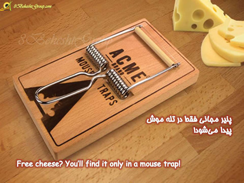 پنیر مجانی