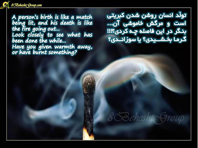 تولد