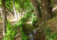 منظره طبیعی