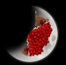شب یلدا