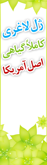 ژل لاغری کاملا گیاهی آمریکائی