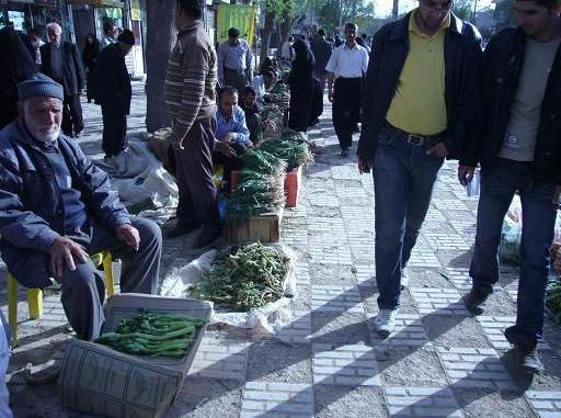 فروشندگان گياهان و سبزيهاي صحرايي در اسلام آباد غرب