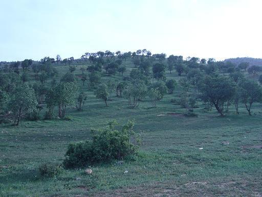 طبیعت گیلانغرب - منطقه میان دار