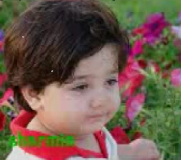 جانشین رضا زاده