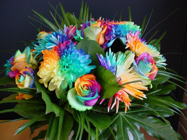 spectacular_rainbow_flowers22.jpg