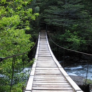 http://s2.picofile.com/file/7246091070/old_wooden_bridge_1_munibren.jpg