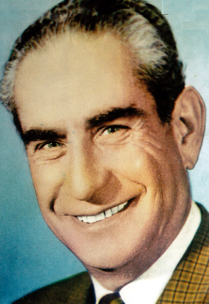 تقی ظهوری