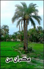 ♥█▓▒ مـــــکــــران مـــــــن ▒▓█♥