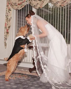 فرهنگ غرب که اخرش این است ازدواج با سگ