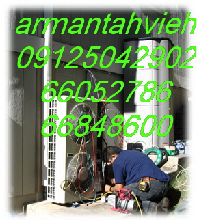 09125042902-66052786