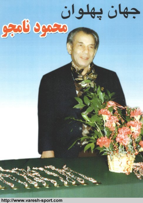محمود نامجوی