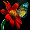 تابلو پروانه طبیعی