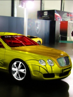 [تصویر:  SALAR_CHI_Motafarege_Car_267_.jpg]