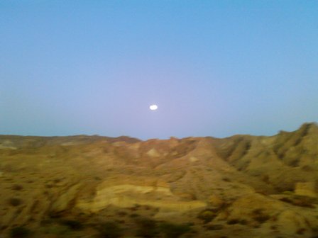 بی