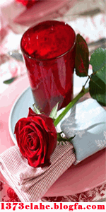 درباره ی الی 