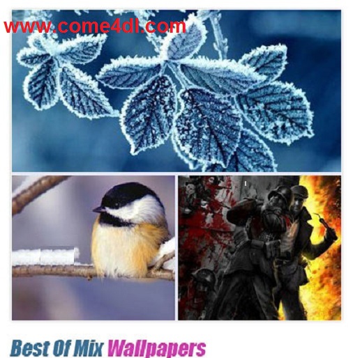 دانلود تصویر پس زمینه زیبا  Best Of Mix Wallpapers