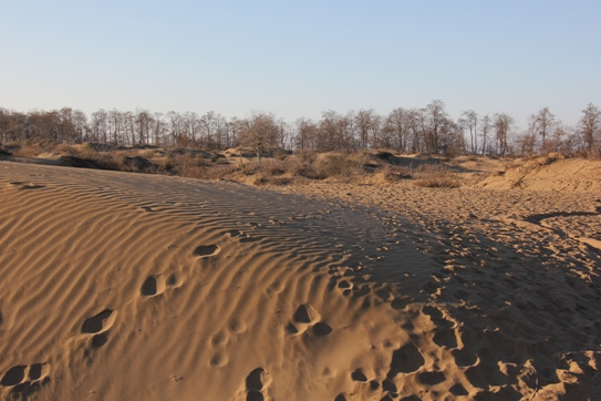 بیابان