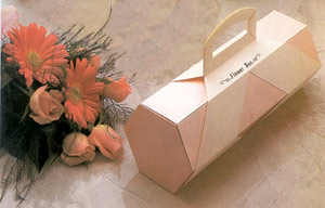 جعبه کاودیی ولنتاین