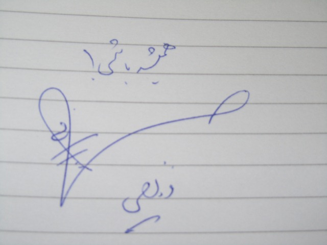 نوشته فرزاد حسنی 
