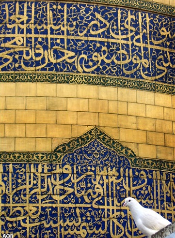 کبوتر حرم