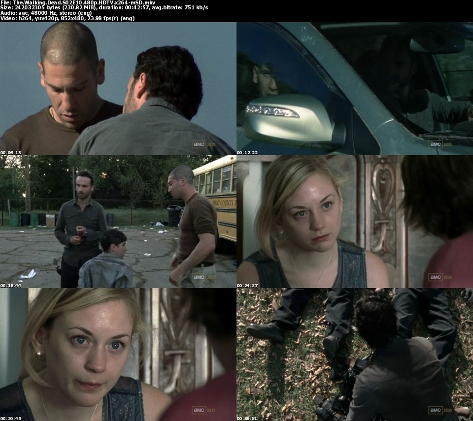 The.Walking.Dead.S02E10.HDTV.x264-ASAP & 720p.HDTV.x264-IMMERSE - [ Tv ...