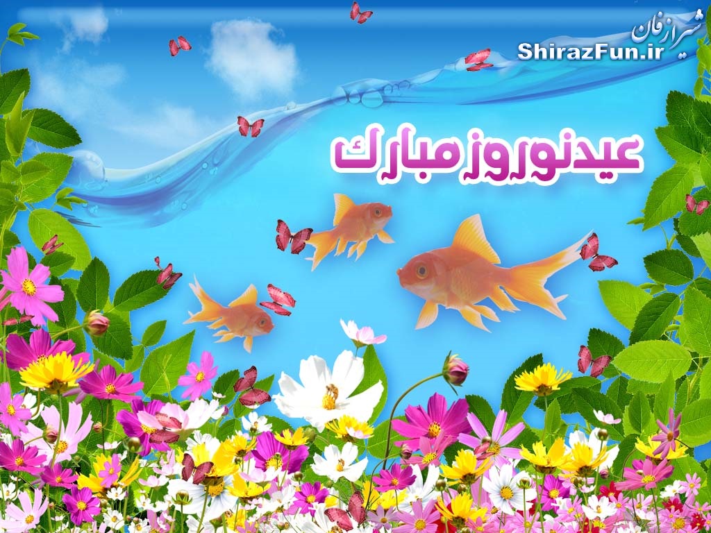 شیراز فان.آی آر