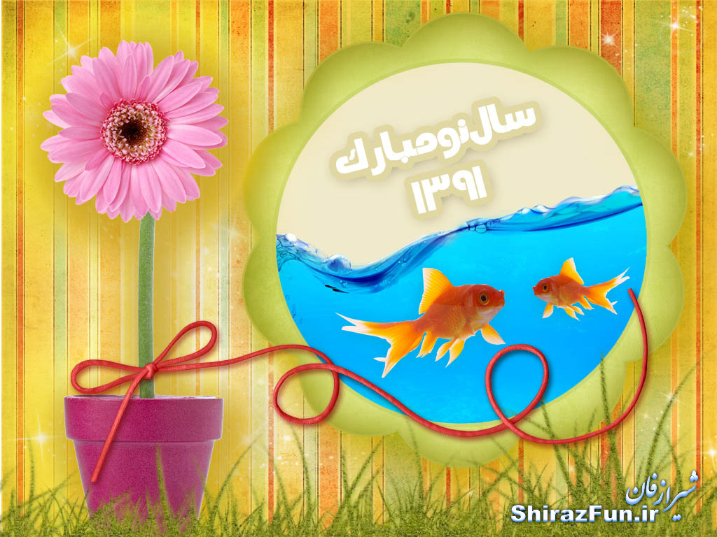 شیراز فان.آی آر