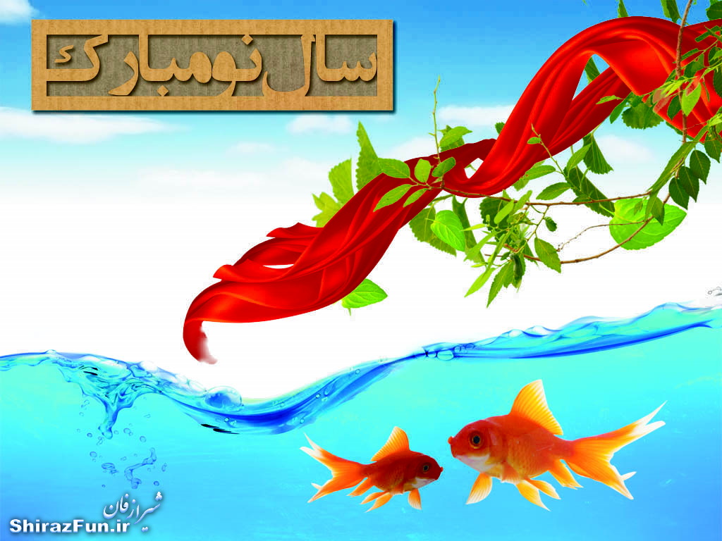 شیراز فان.آی آر