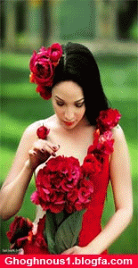 احساس شيشه اي
