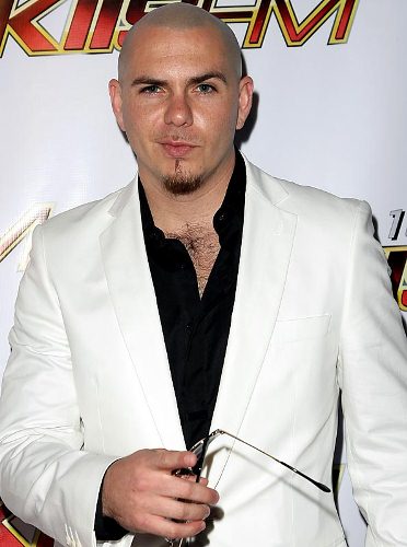 http://s2.picofile.com/file/7319809779/pitbull.jpg