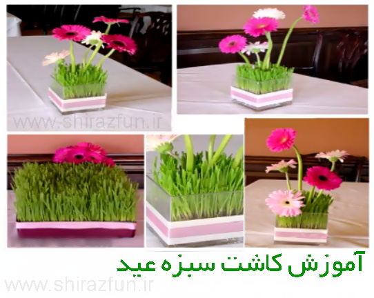 سبزه عید
