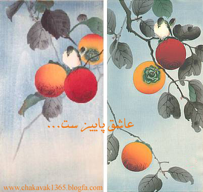 زرد و نارنجــــــــی...