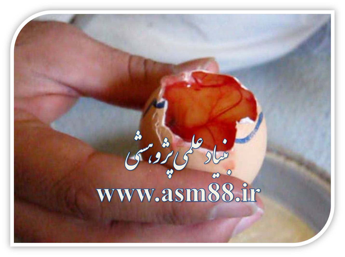 www.asm88.ir