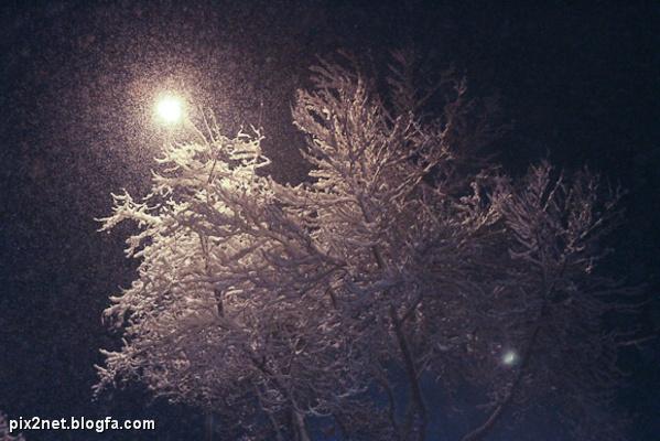 http://s1.picofile.com/file/7327557090/_pix2net_blogfa_com_2.jpg