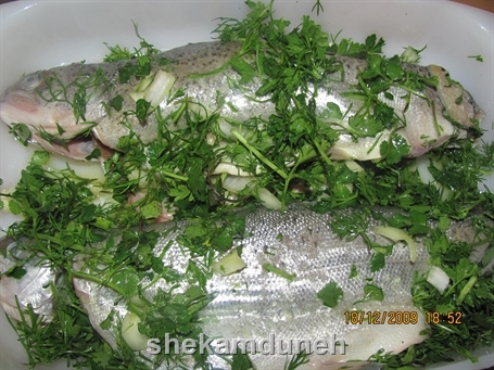 ماهی قزل آلا