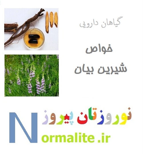 شیرین بیان