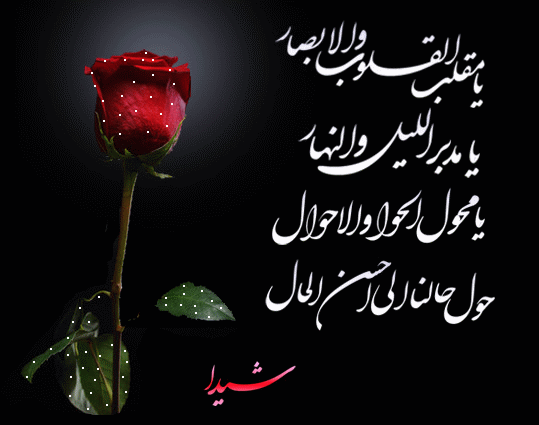 عاشقانه های دل شیدا
