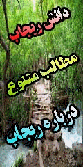 دانش ریجاب