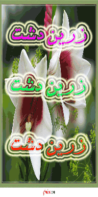 زرین دشت