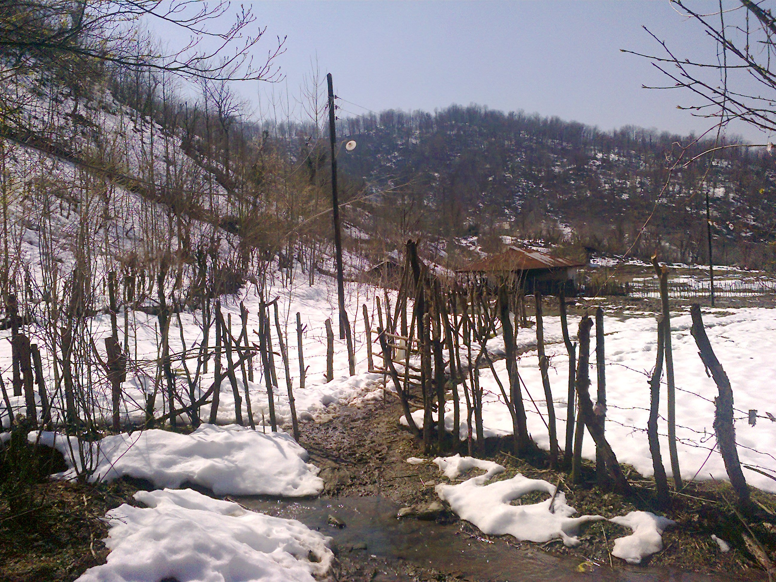 http://s2.picofile.com/file/7337334187/%D9%84%D8%A7%D8%B3%DA%A9_919.jpg