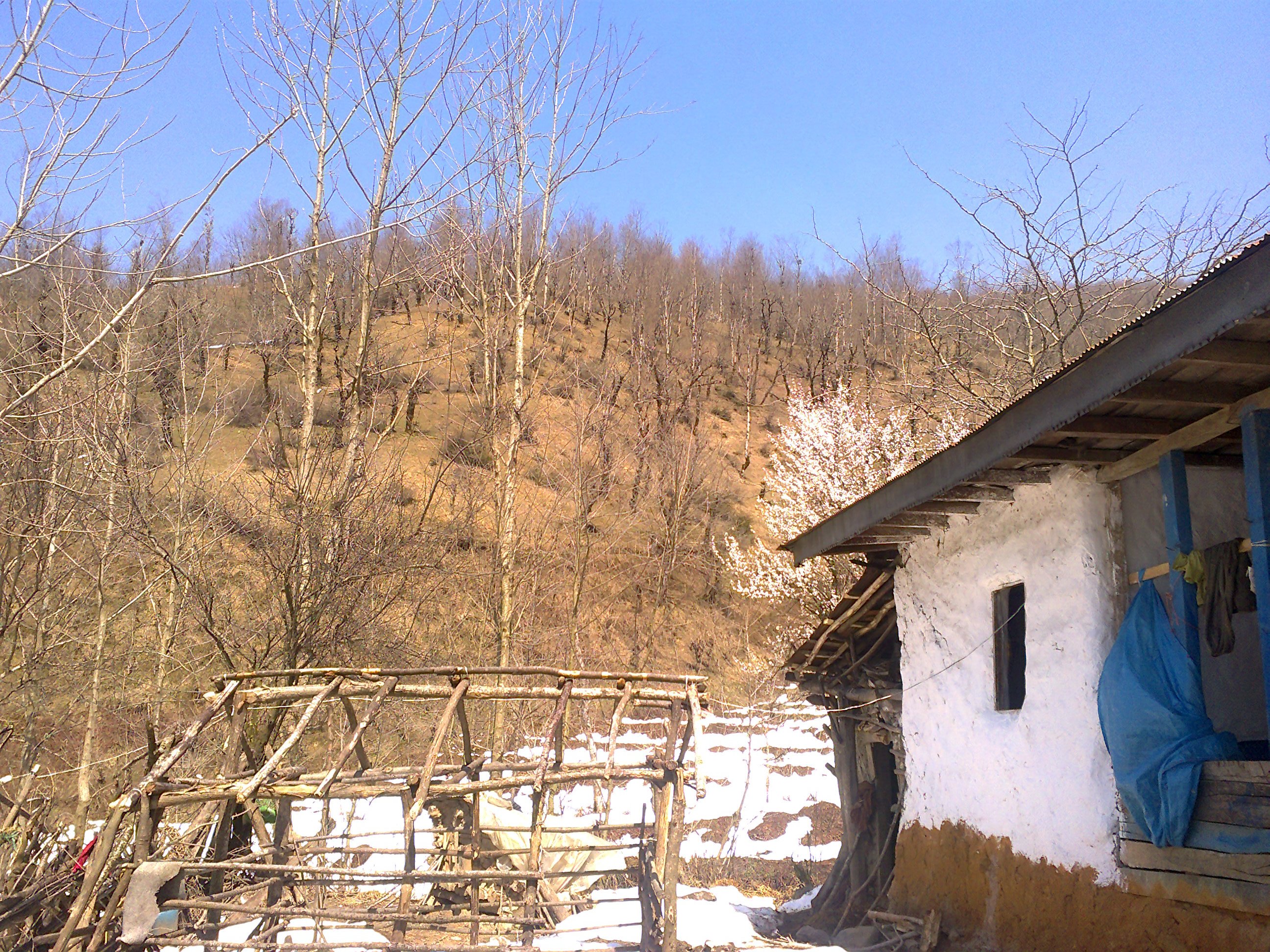 http://s2.picofile.com/file/7337456769/%D9%84%D8%A7%D8%B3%DA%A9_%D8%AF91.jpg