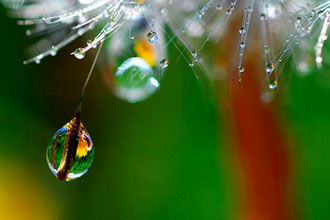 [تصویر: 529189_324703010925584_162398263822727_8...940_n1.jpg]