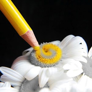 نذر گل نرگس (عج)
