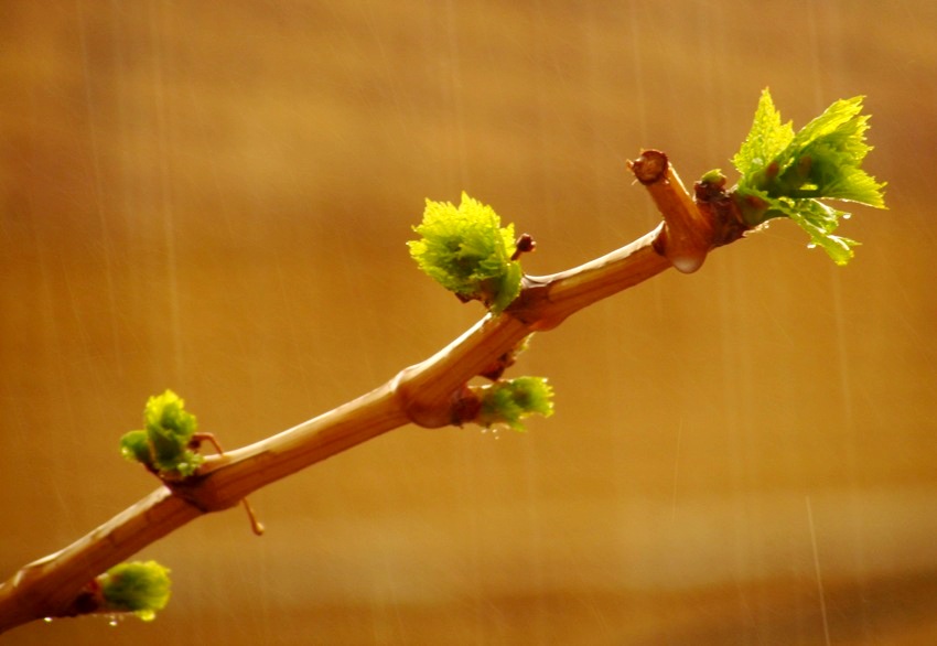 بهار خونه ی ما25فروردین1391ساعت حدود3:15 عصر