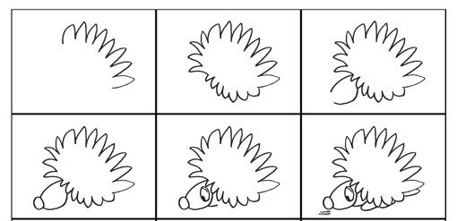 کاریکاتور خارپشت