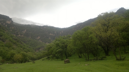 دره ای زیبا