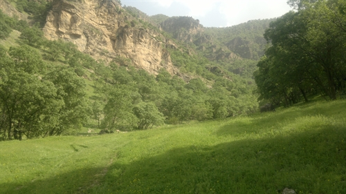 باینگان