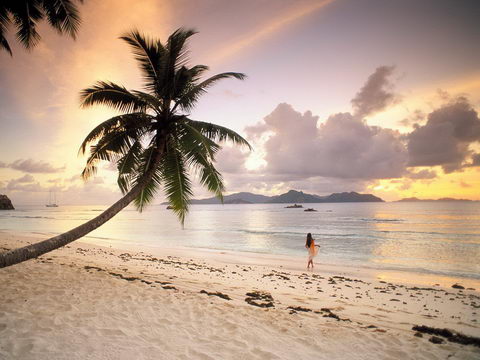 photos_of_Twilight_Paradise_La_Digue_Seychelles_pictures_480.jpg